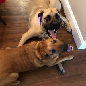 Meet your Posher, Allison